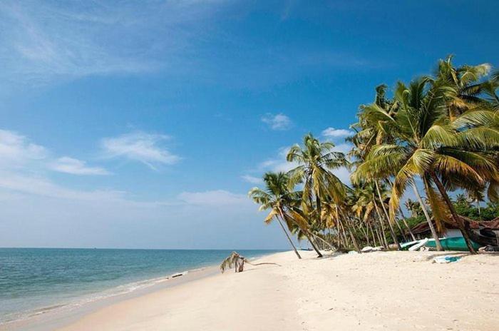 Marari Beach Clleetus Homestay Mararikulam Luaran gambar